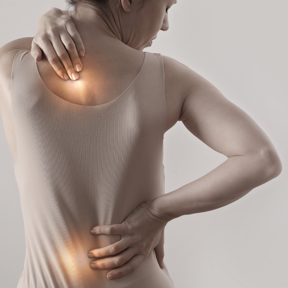 cs360 physio (2)